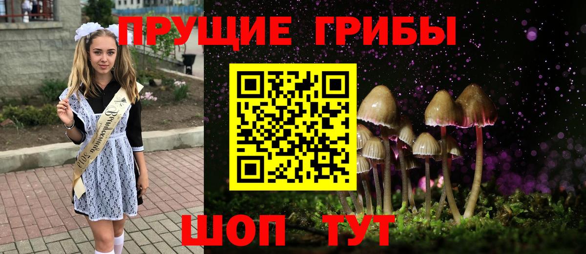 Галлюциногенные грибы Psilocybine cubensis Тамбов